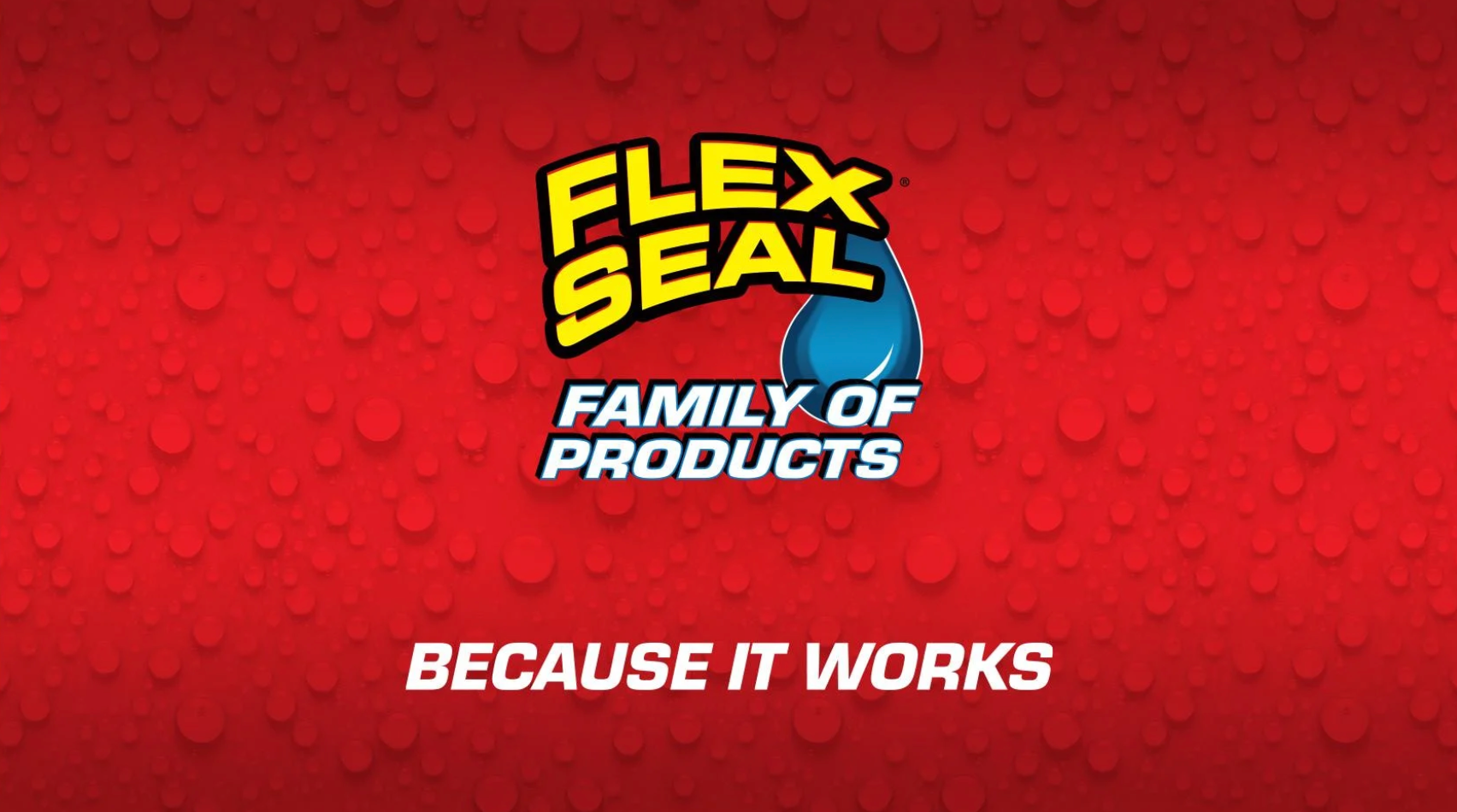 Flex Seal